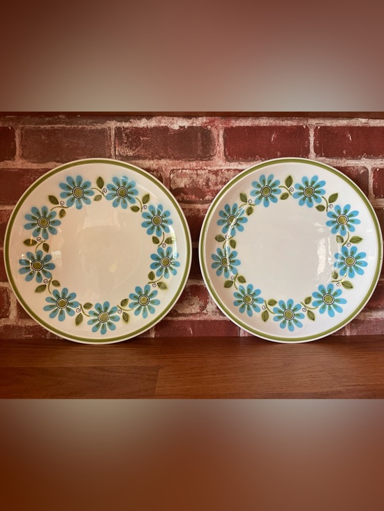 Mikasa Other - Vintage Mikasa “Garland” Set of 2 Dinnerplates